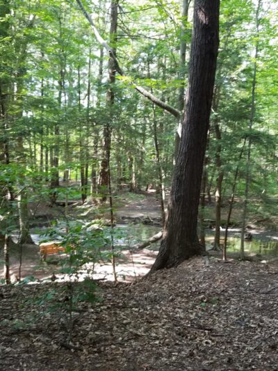 Headwaters Park - Erie, PA