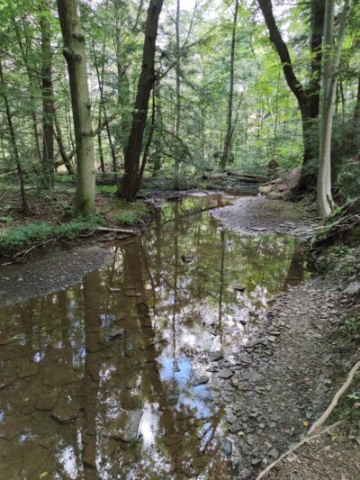 Headwaters Park - Erie, PA