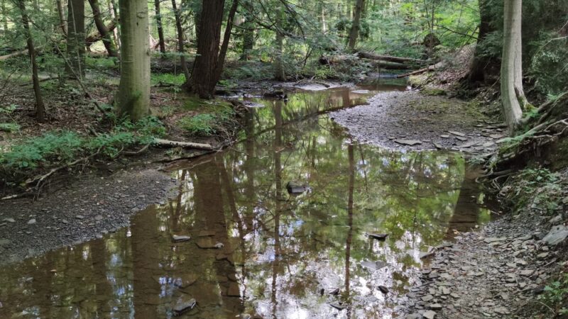Headwaters Park - Erie, PA