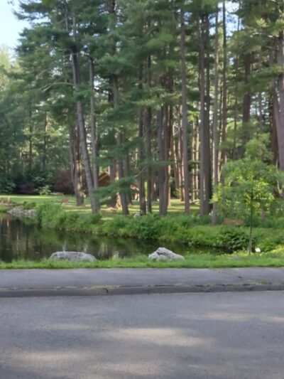 The Sanctuary at Look Park - Erving, MA