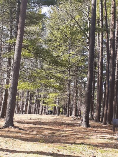 The Sanctuary at Look Park - Erving, MA