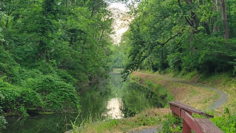 Delaware Canal Trail - Erwinna, PA