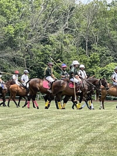 Tinicum Park - Erwinna, PA