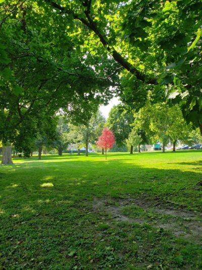 Essex Parks & Recreation Department - Essex, IA