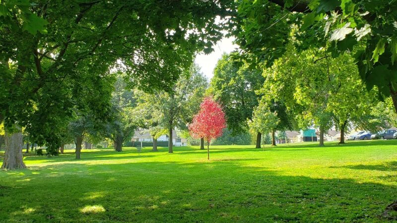 Essex Parks & Recreation Department - Essex, IA