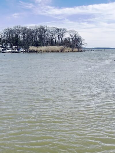 Baltimore County Cox's Point Park - Essex, MD