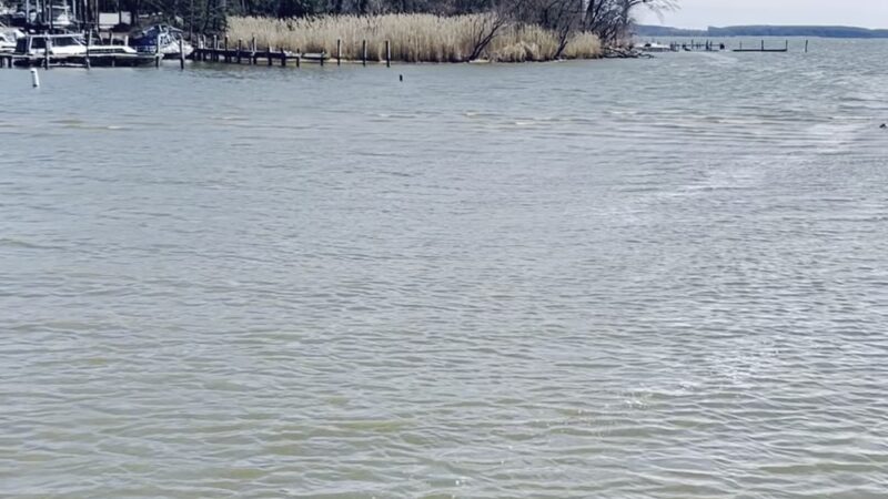 Baltimore County Cox's Point Park - Essex, MD
