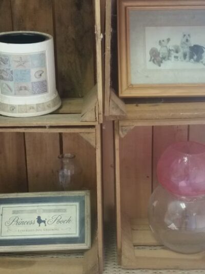 Dorothy's Dapper Dogs LLC - Essex, MD