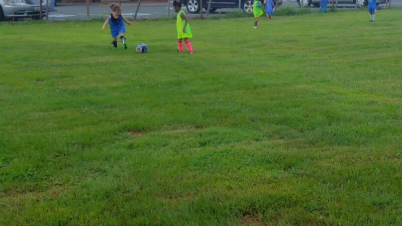 Martindale Park - Essex, MD