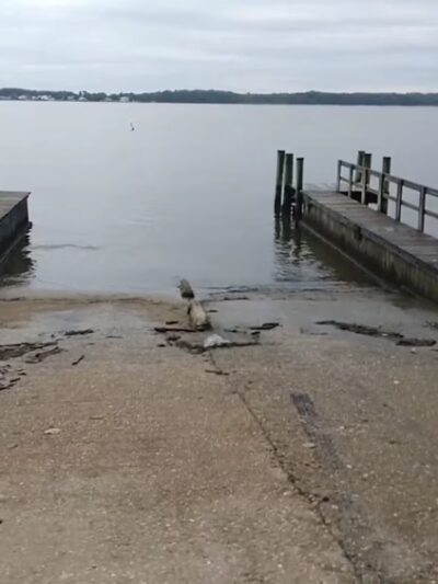 Rocky Point Park and Beach - Essex, MD