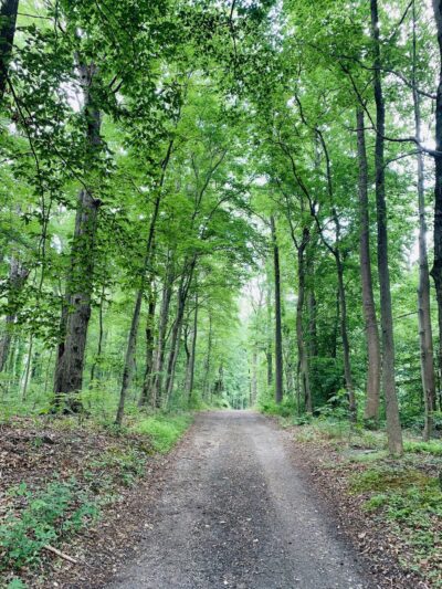 Sue Creek Park - Essex, MD