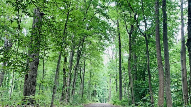 Sue Creek Park - Essex, MD