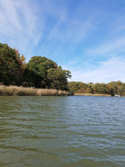 Sue Creek Park - Essex, MD