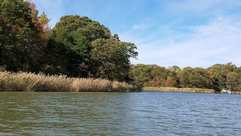 Sue Creek Park - Essex, MD