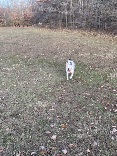 Sue Creek Park - Essex, MD