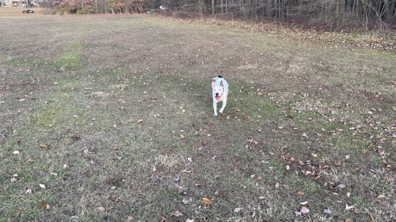 Sue Creek Park - Essex, MD