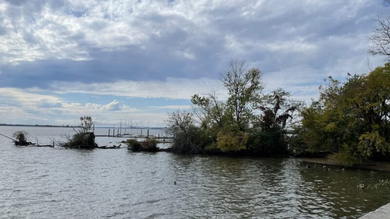 Essington Park - Essington, PA