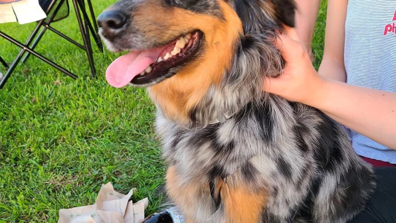 Manor Field - Essington, PA