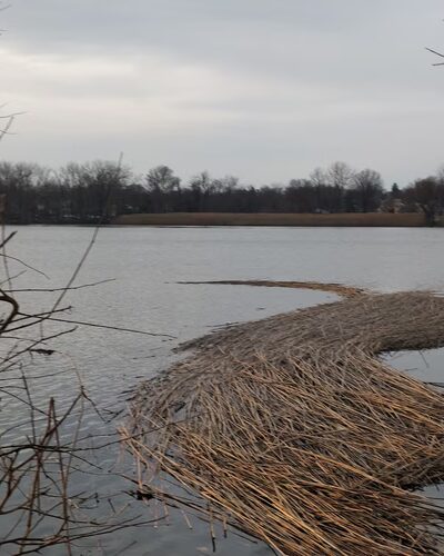 Tinicum Park - Essington, PA