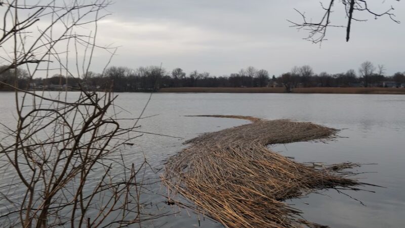 Tinicum Park - Essington, PA
