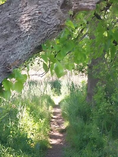 Tinicum Park - Essington, PA