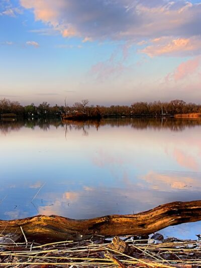 Tinicum Park - Essington, PA