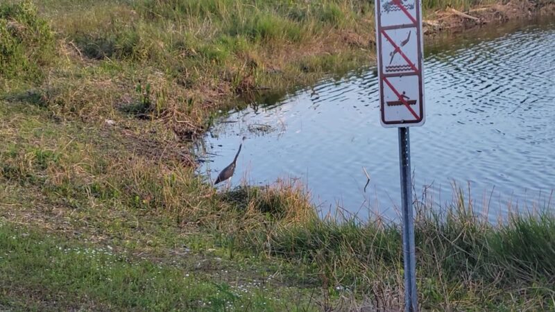 Estero Community Park - Estero, FL