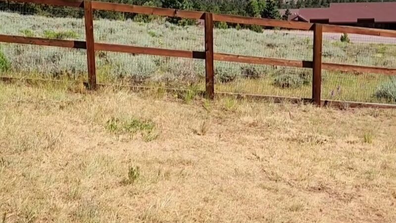 Murphys Mountain Dog Park - Estes Park, CO