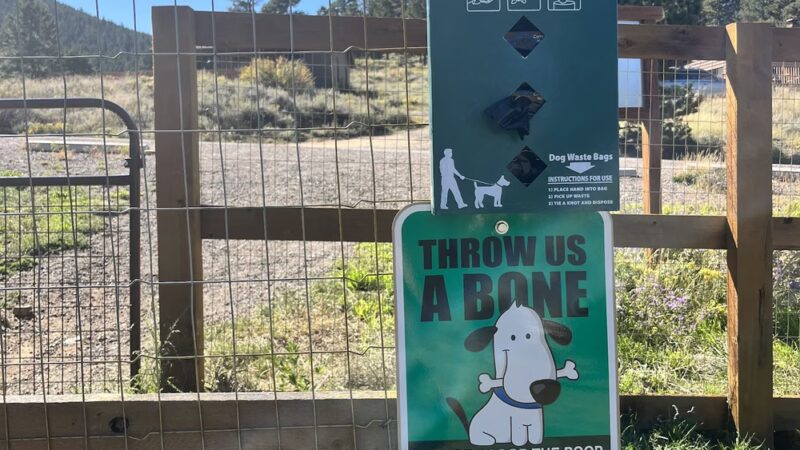 Murphys Mountain Dog Park - Estes Park, CO