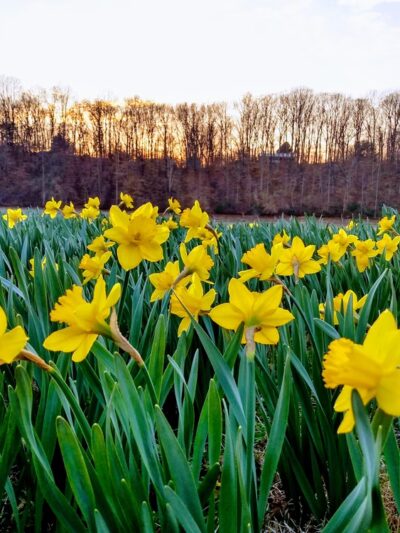 Taylor Creek Walking Trail - Estill Springs, TN
