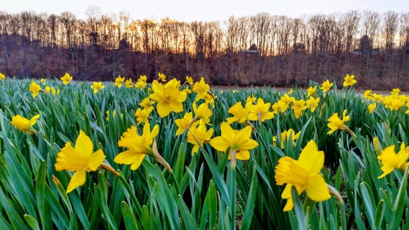 Taylor Creek Walking Trail - Estill Springs, TN