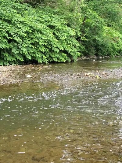 Dougherty Nature Trail Extension - Etna, PA