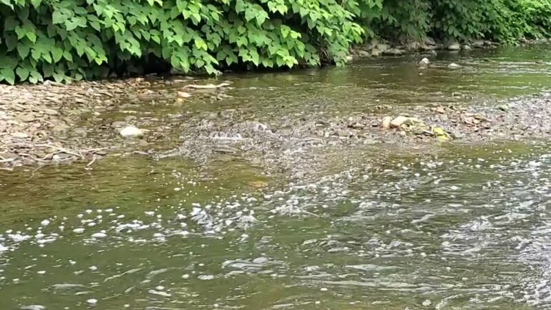 Dougherty Nature Trail Extension - Etna, PA