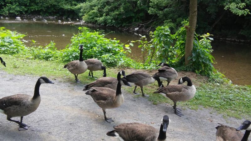 Dougherty Nature Trail Extension - Etna, PA