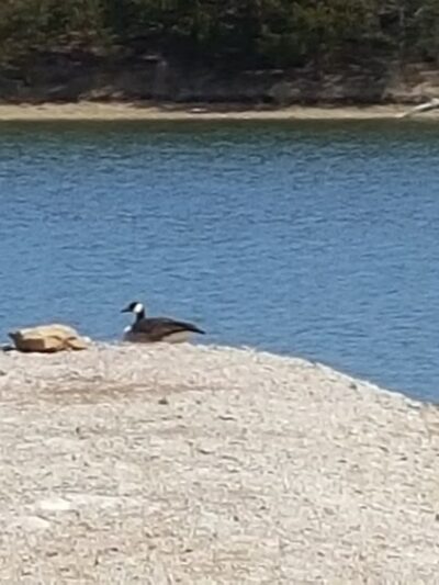 Bluejacket Park - Eudora, KS