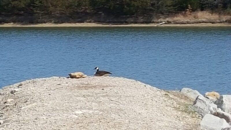 Bluejacket Park - Eudora, KS