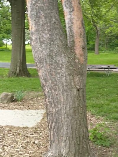 Leonard Leota Park - Evansville, WI