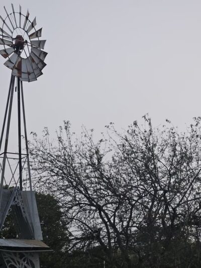 Wind Prairie Park - Evansville, WI