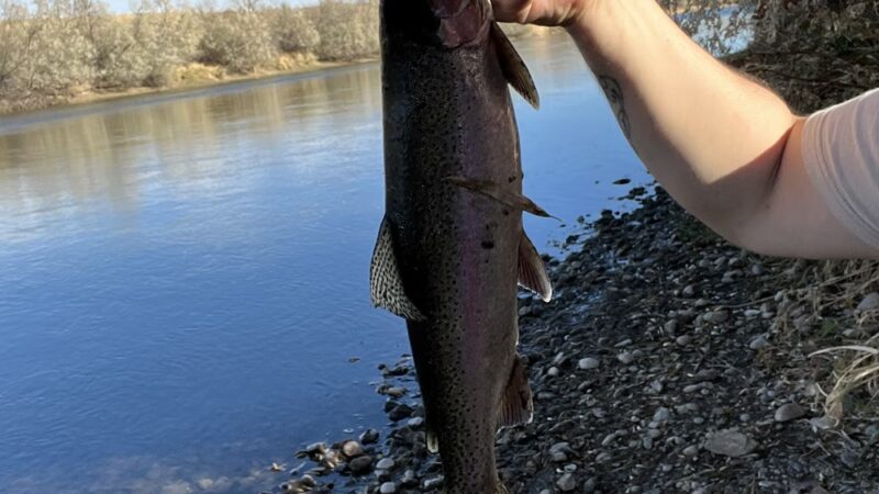 Reshaw Park - Evansville, WY