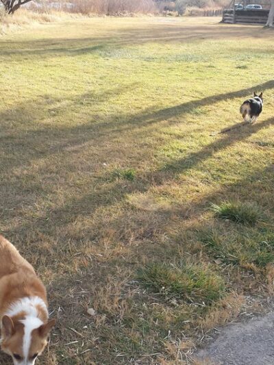 Reshaw Park - Evansville, WY