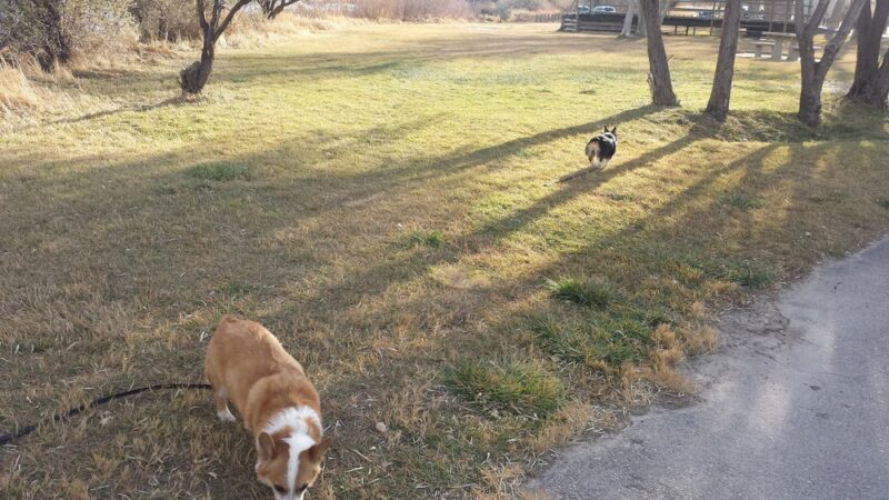 Reshaw Park - Evansville, WY