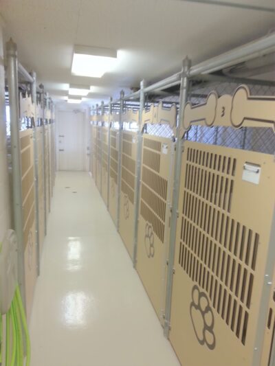 Pampered Puppies - Evansville, WY