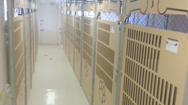 Pampered Puppies - Evansville, WY