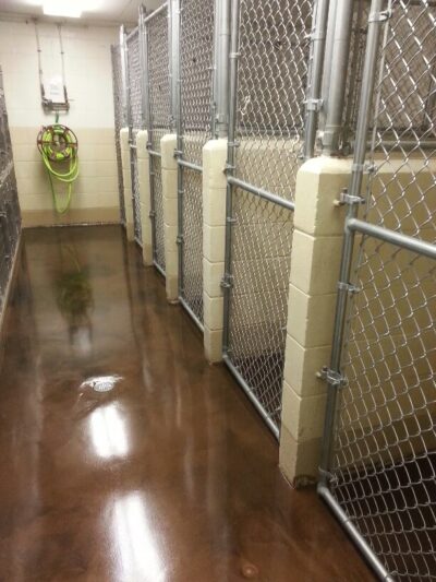 Pampered Puppies - Evansville, WY