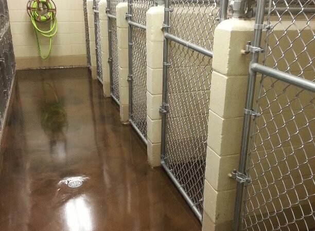 Pampered Puppies - Evansville, WY