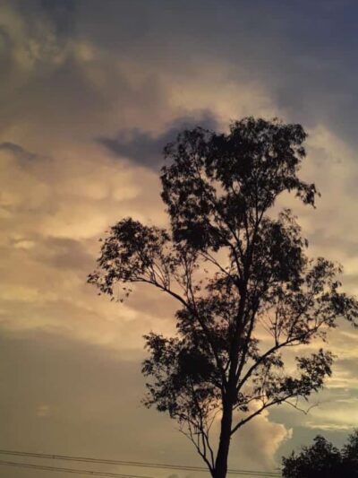 Evening Shade - Evening Shade, AR