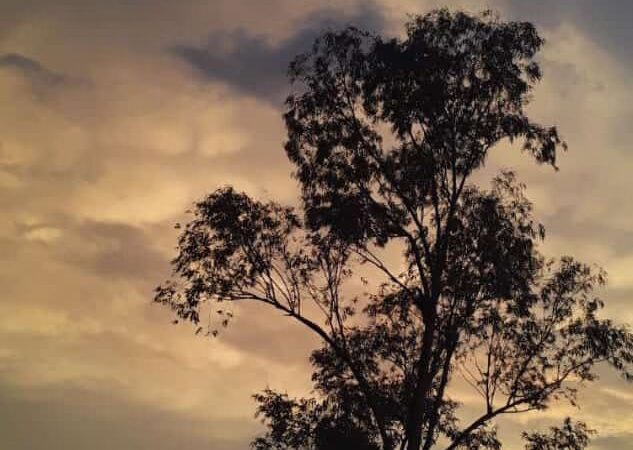 Evening Shade - Evening Shade, AR