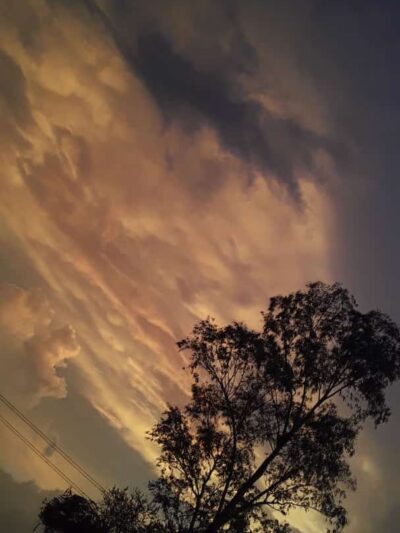 Evening Shade - Evening Shade, AR