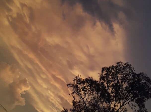 Evening Shade - Evening Shade, AR