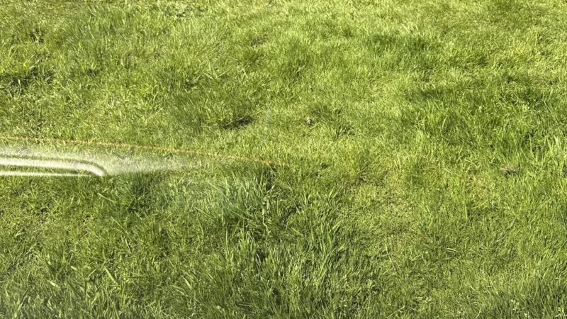 Deer Park - Everett, WA